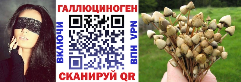 Псилоцибиновые грибы Psilocybe  блэк спрут ТОР  Харовск  как найти наркотики 